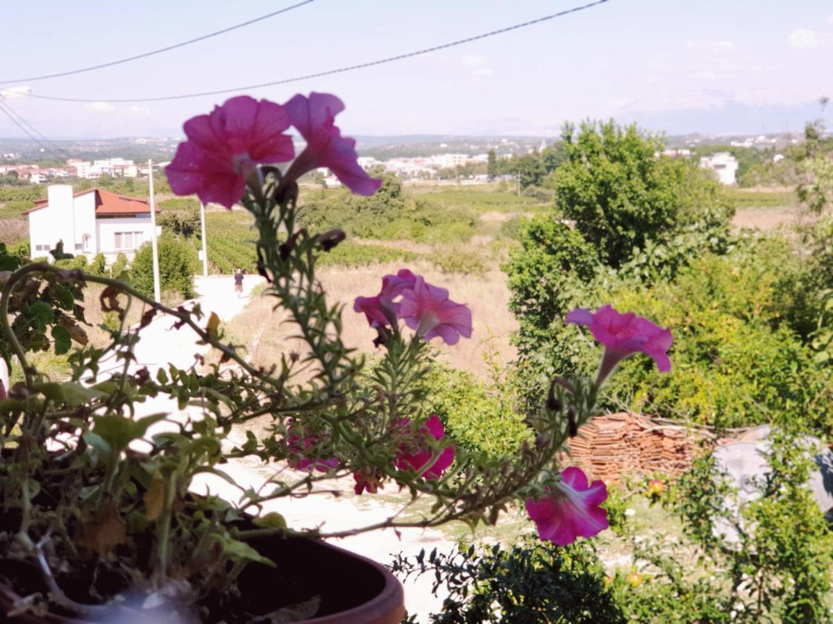 Delia Apartment Medugorje Bagian luar foto